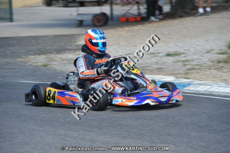 DSC (202).JPG